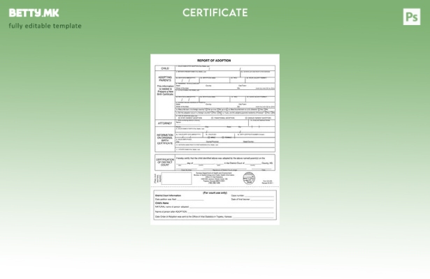 Модерен стил, шаблон за извештај на САД за посвојување